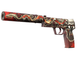 USP-S | Kill Confirmed