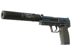 USP-S | Guardian