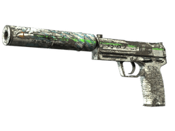 USP-S | Road Rash