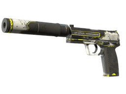 USP-S | Torque