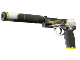 StatTrak™ USP-S | Torque