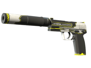 USP-S | Torque