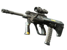 StatTrak™ AUG | Tom Cat