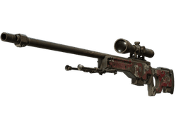AWP | Duality