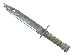 ★ StatTrak™ Bayonet | Urban Masked