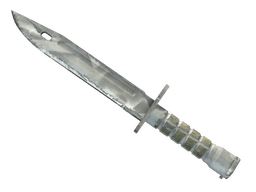 ★ StatTrak™ Bayonet | Urban Masked