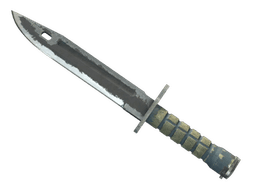 ★ Bayonet | Night