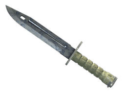 ★ Bayonet | Stained