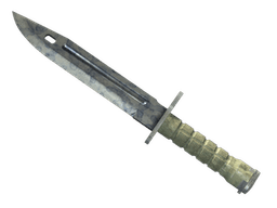 ★ StatTrak™ Bayonet | Stained