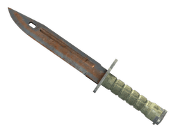 ★ Bayonet | Rust Coat