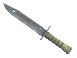 ★ Bayonet | Rust Coat
