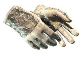 ★ Driver Gloves | King Snake