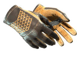 ★ Driver Gloves | Overtake