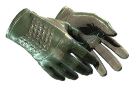 ★ Driver Gloves | Racing Green