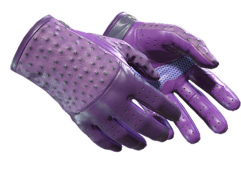 ★ Driver Gloves | Plum Quill