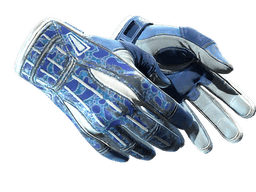 ★ Sport Gloves | Amphibious