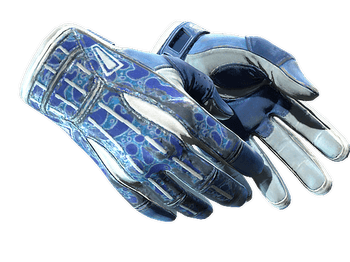 ★ Sport Gloves | Amphibious