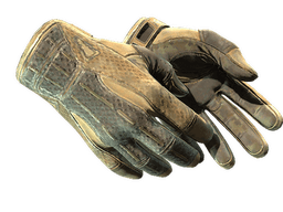 ★ Sport Gloves | Arid