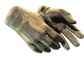 ★ Sport Gloves | Arid
