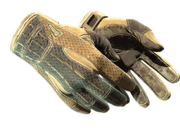 ★ Sport Gloves | Arid