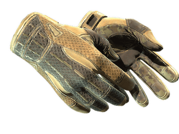 ★ Sport Gloves | Arid