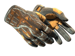 ★ Sport Gloves | Big Game