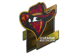 Sticker | Renegades | Boston 2018