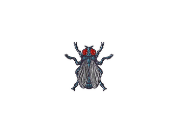 Sticker | Fruit Fly