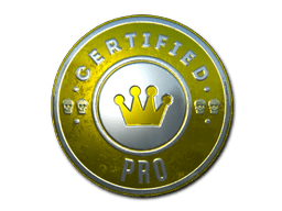 Sticker | The Pro