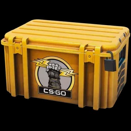 Glove Case