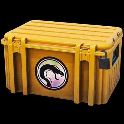 Recoil Case