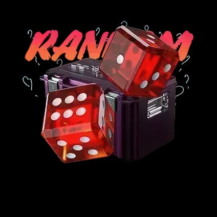 RANDOM CASE