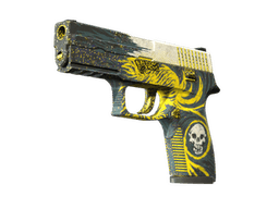 StatTrak™ P250 | Wingshot
